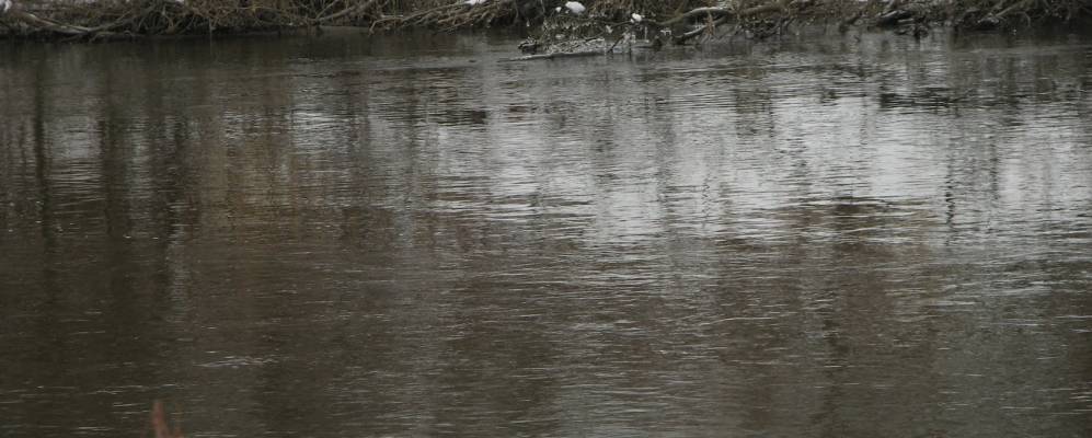 
            Фотография Городища