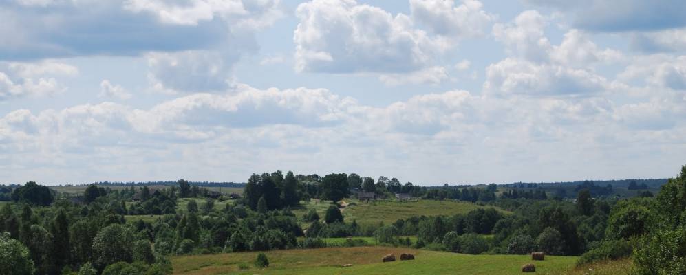 
            Фотография Медянков