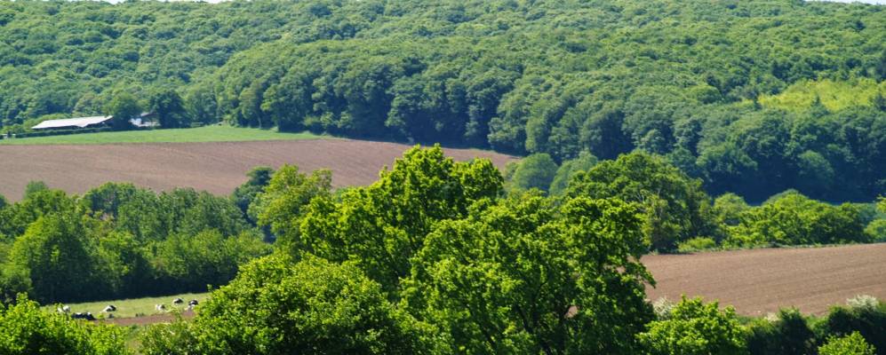 Фотография Сена-Симеона (Округ Алансон)