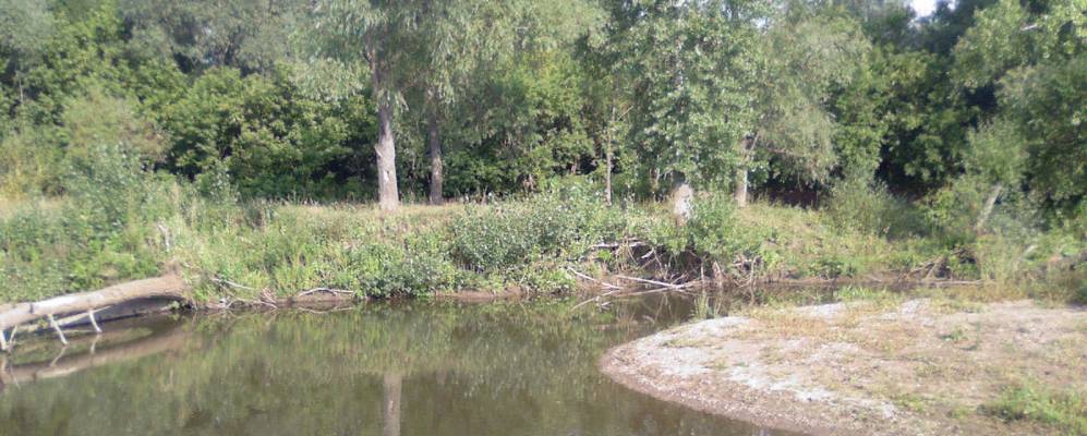 
            Фотография Сухаревки