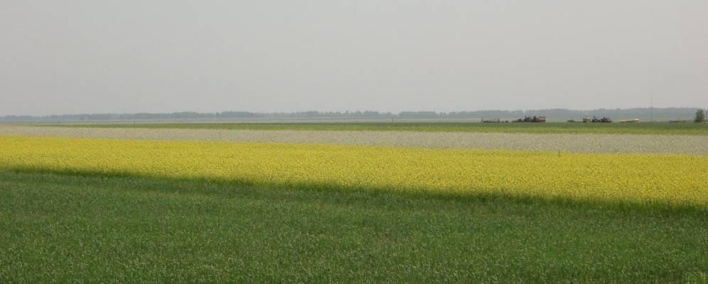 
            Фотография Стретинки