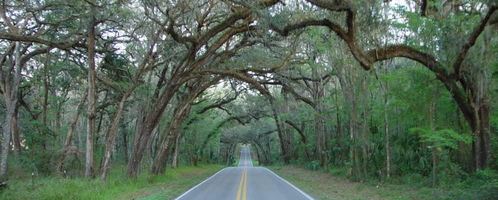
            Фотография Спринг-Хилл