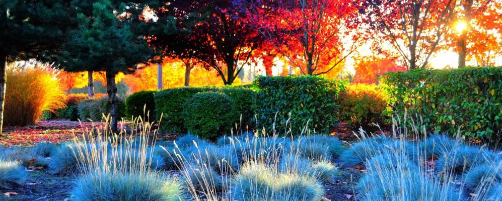 
            Фотография Редмонд