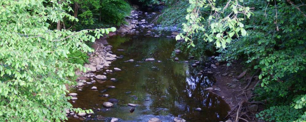 
            Фотография Первомайского