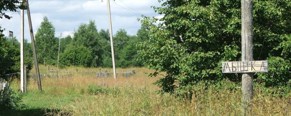 
            Фотография Мышки