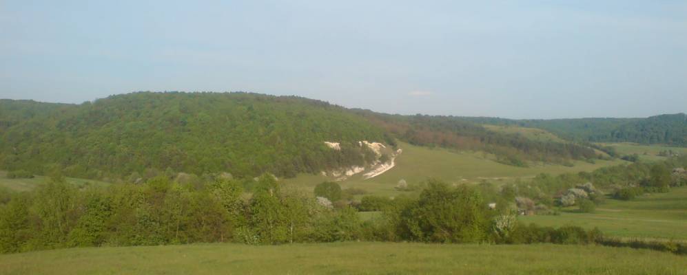 
            Фотография Подсмереки