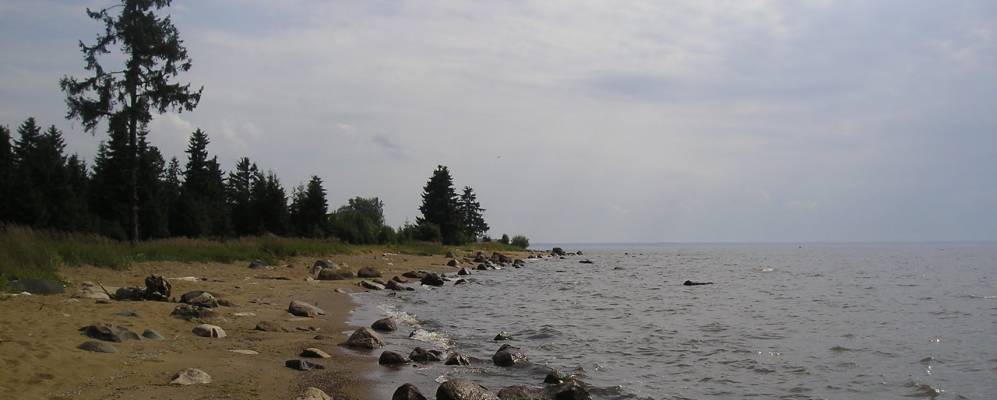 
            Фотография Вахтино