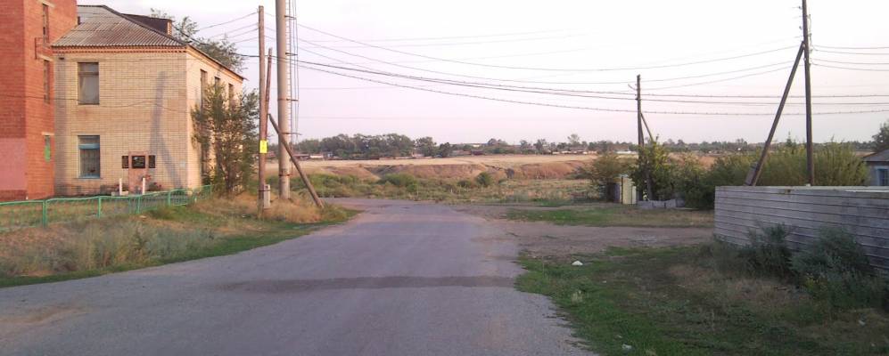 
            Фотография Плодового