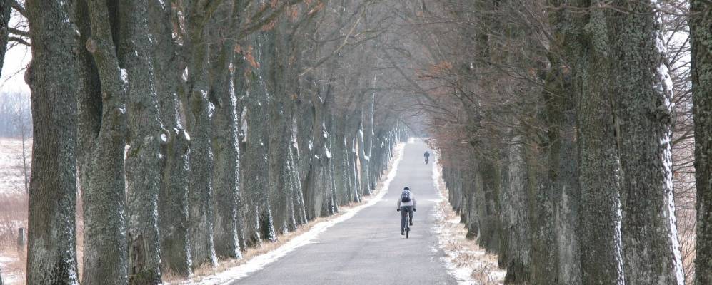 
            Фотография Красноармейского