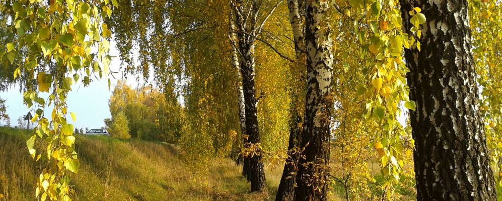 
            Фотография Чепилиевки