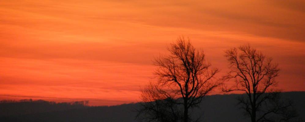 
            Фотография Арамоаии