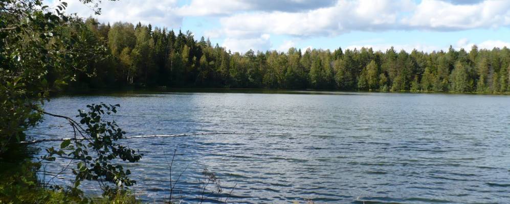 
            Фотография Аристово