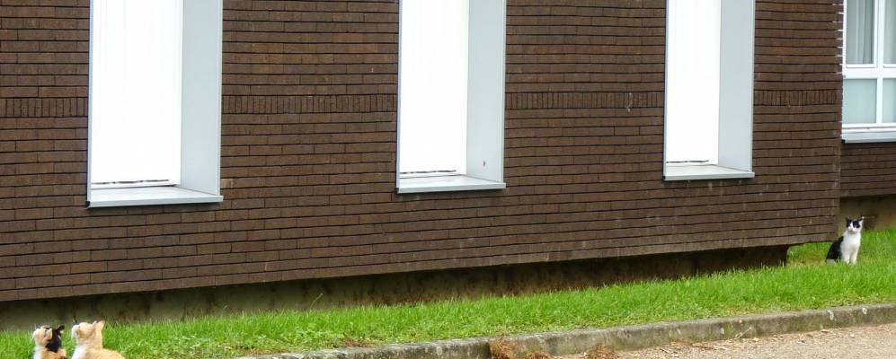 
            Фотография Лё-Плеси-Пате