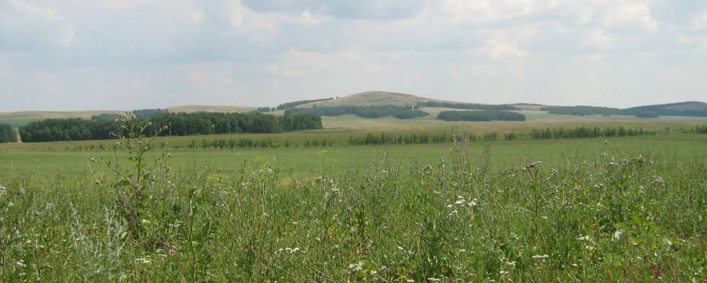 
            Фотография Султантимирово