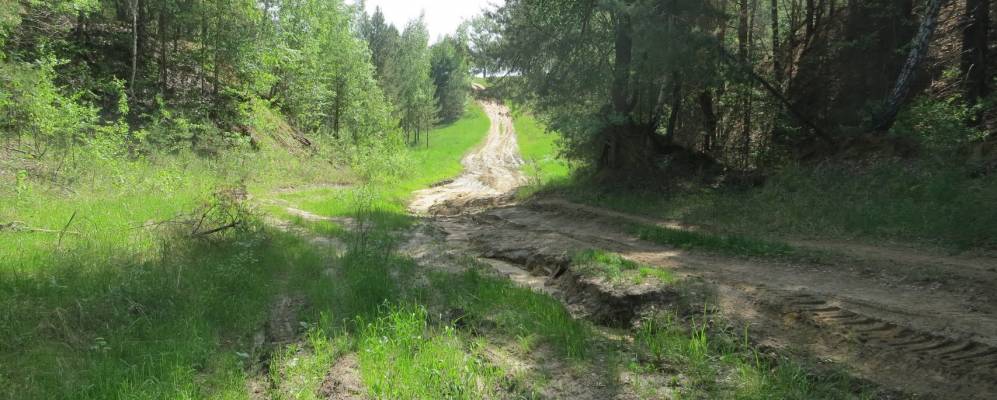 
            Фотография Мамадыша