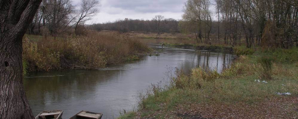 Фотография Котовки