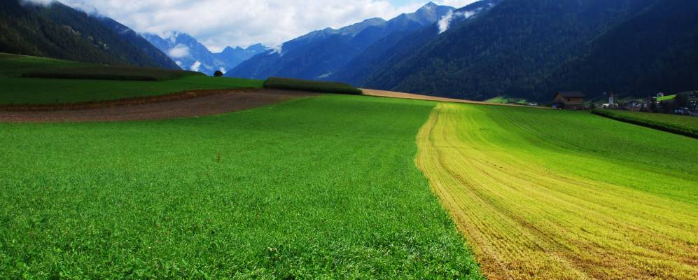 
            Фотография Разун-ди-Зотто