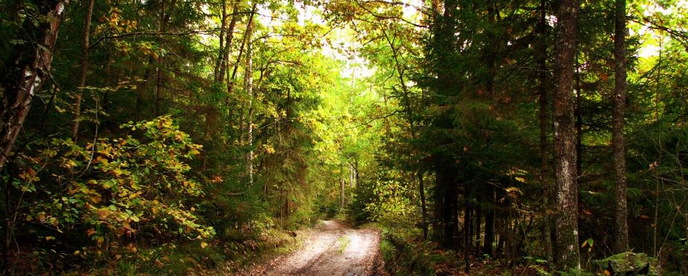 
            Фотография Столпни-2