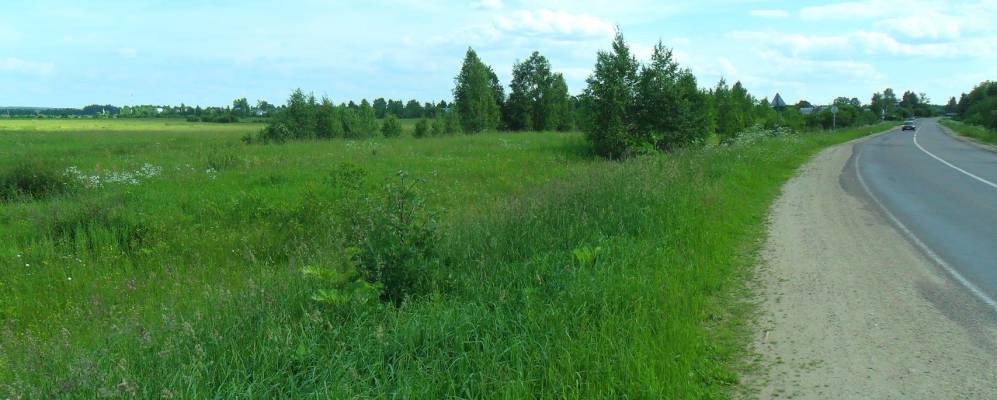 
            Фотография Гусенево