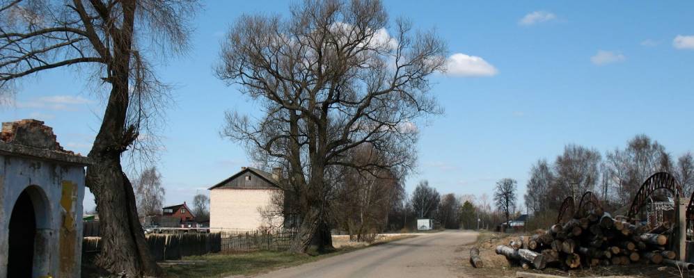 
            Фотография Мышкино