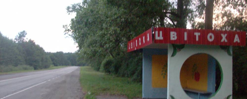 
            Фотография Цветохи