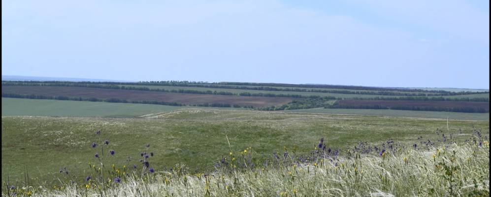 
            Фотография Нижнекристалки