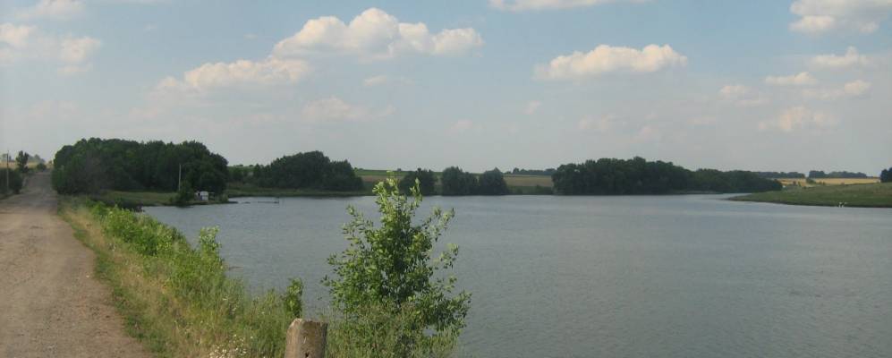 
            Фотография Левченки