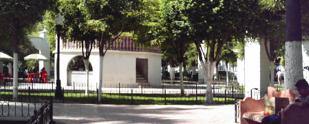 
            Фотография Наволато