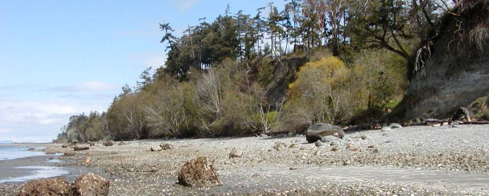 
            Фотография Камано