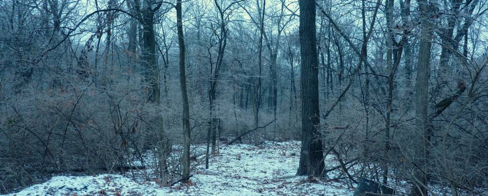 
            Фотография Оквилла