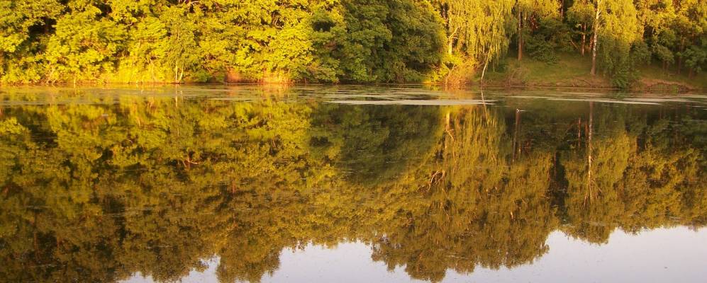 
            Фотография Кухарки