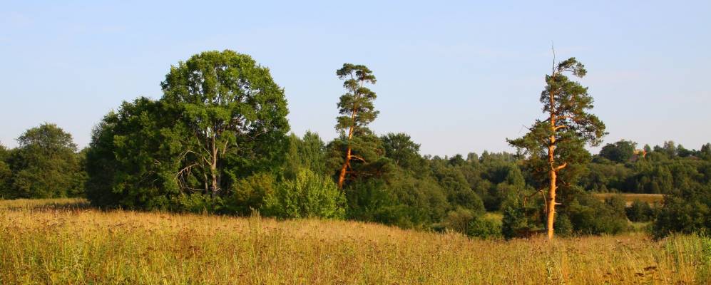 Фотография Дякино