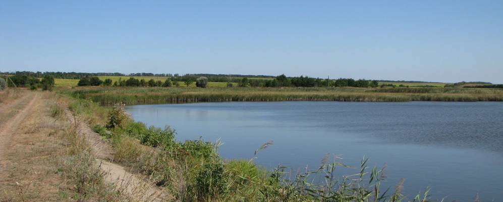 
            Фотография Кардаши