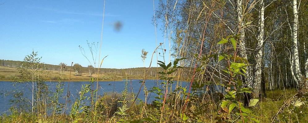 
            Фотография Лесного