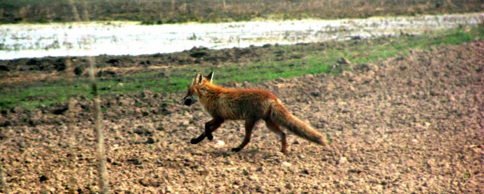 
            Фотография деревни Жвойришки Малые