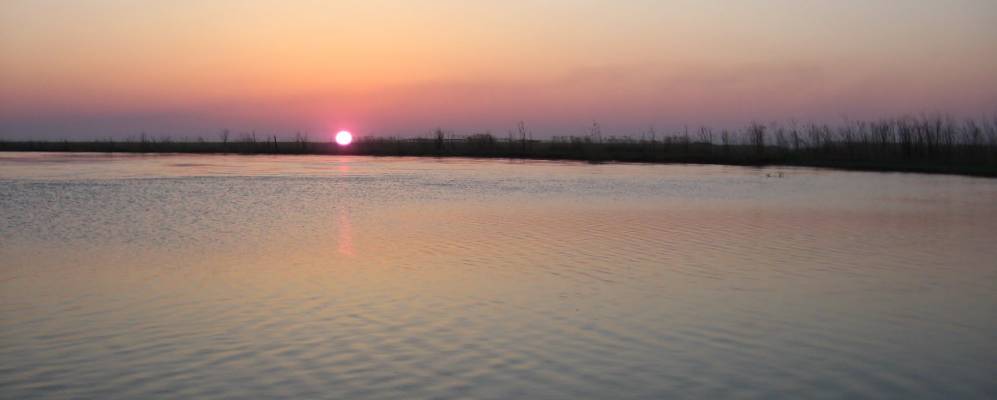 
            Фотография Кокозека