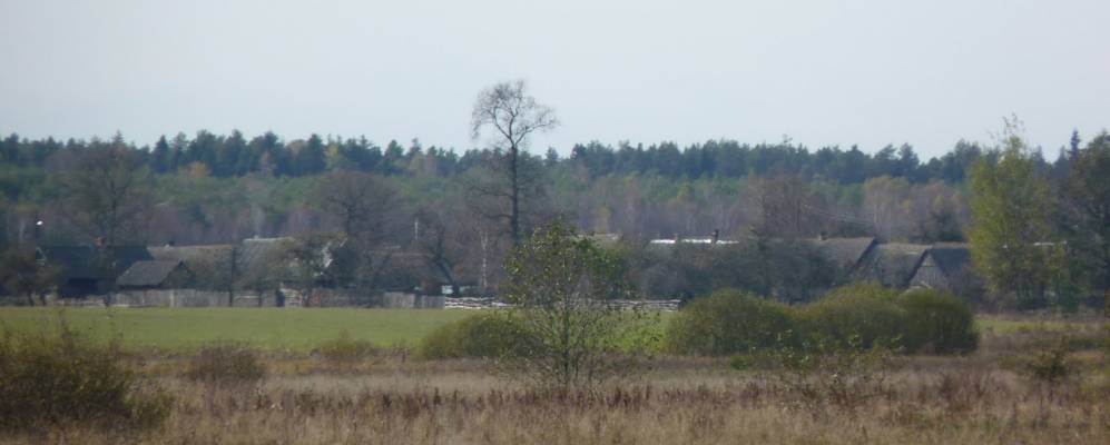 Фотография деревни Манцы