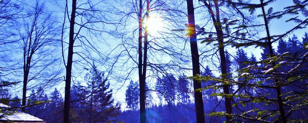 
            Фотография Герабронна