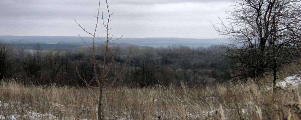 
            Фотография Рогова