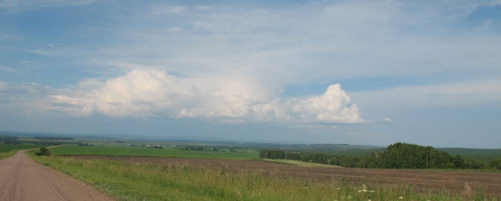 
            Фотография Тойлука