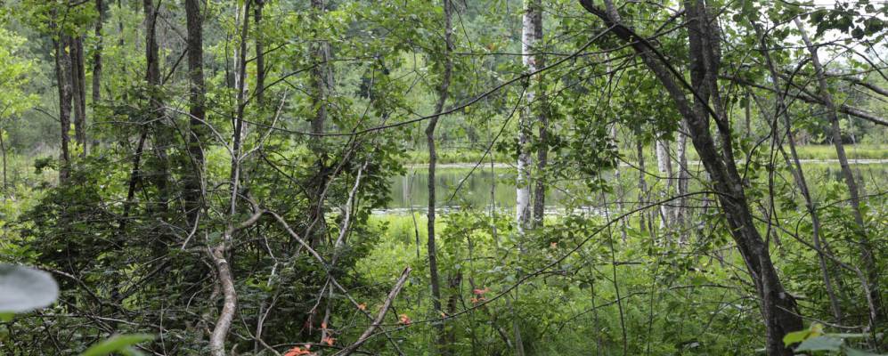 
            Фотография Сорокино