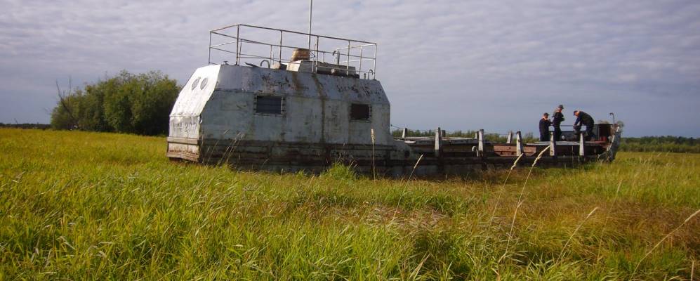 
            Фотография Ингисоима