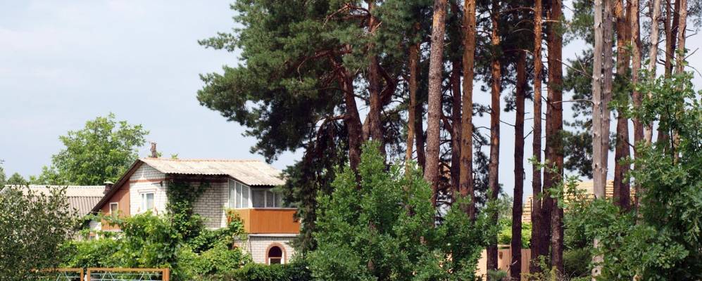 
            Фотография Никольского