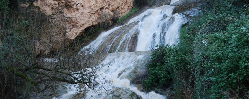 Фотография Альмединильи