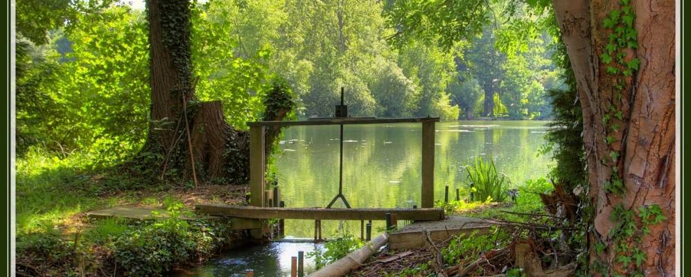 
            Фотография Бова