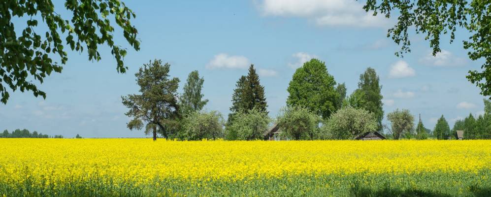 Фотография Слободы