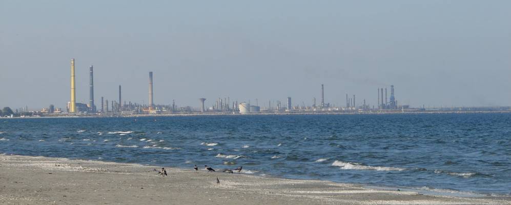 
            Фотография Нэводари