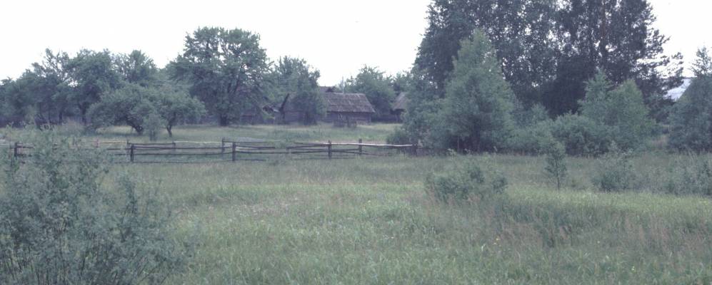 
            Фотография Осова