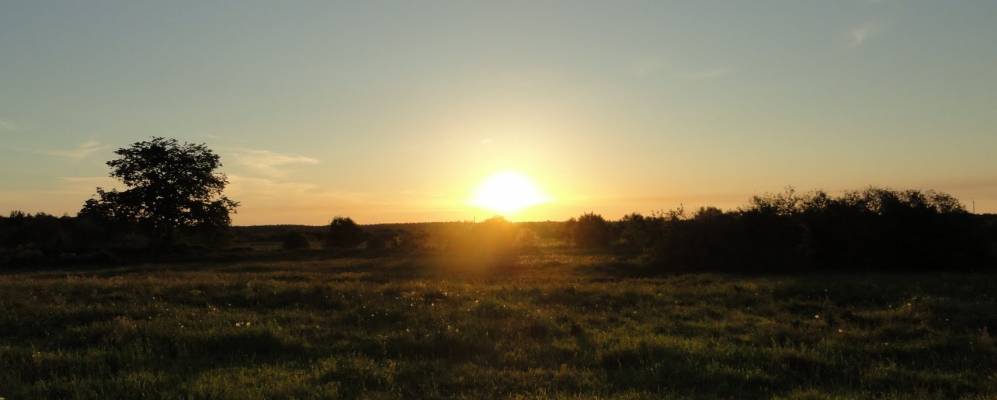 
            Фотография Радовели