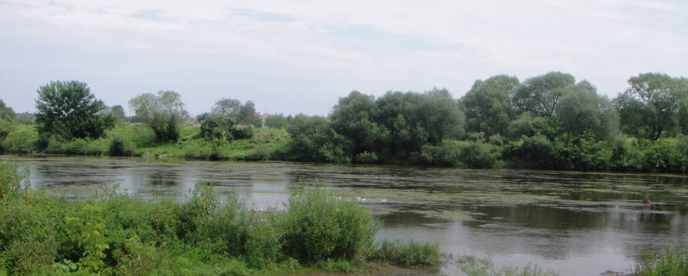 
            Фотография Лучицы